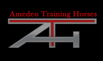 ATH – Amedeo Training Horse