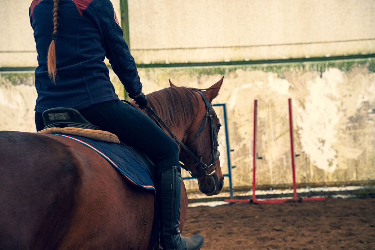 Diritto equestre studio legale viti